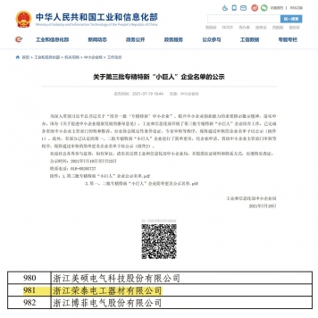 國(guó)家級(jí)“專精特新”小巨人企業(yè)